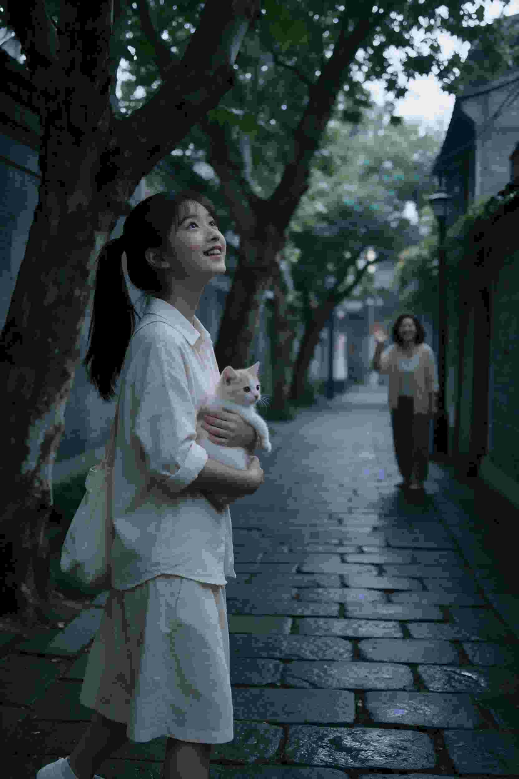 寻宝大陆